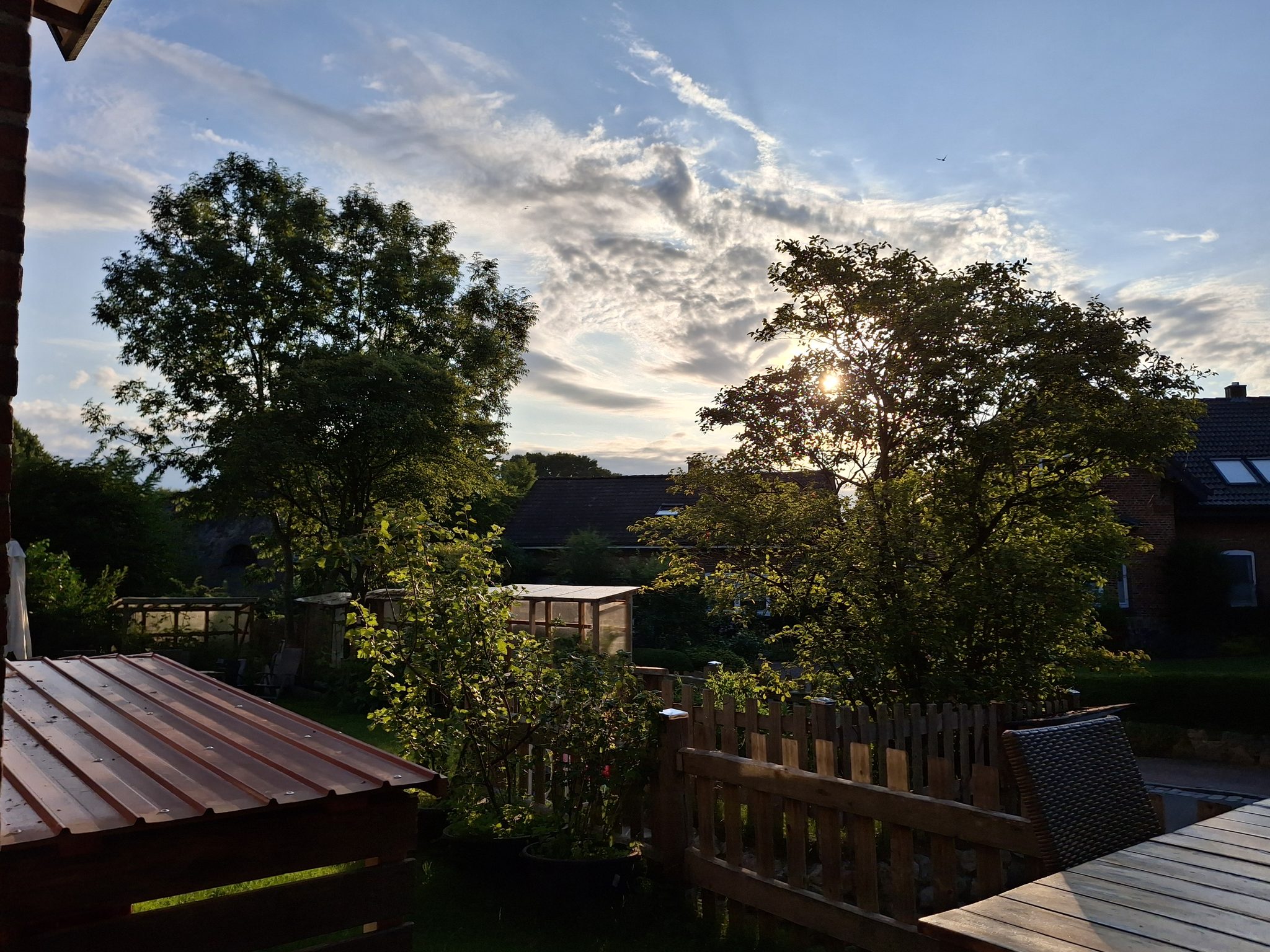 Blick von einer Holzterrasse über einen Garten mit Bäumen und Gewächshaus im Abendlicht