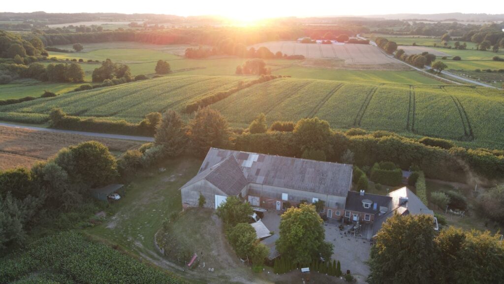 Luftaufnahme von Hof Gayenberg bei Sonnenuntergang, umgeben von Maisfeldern und Grünland in Schleswig-Holstein