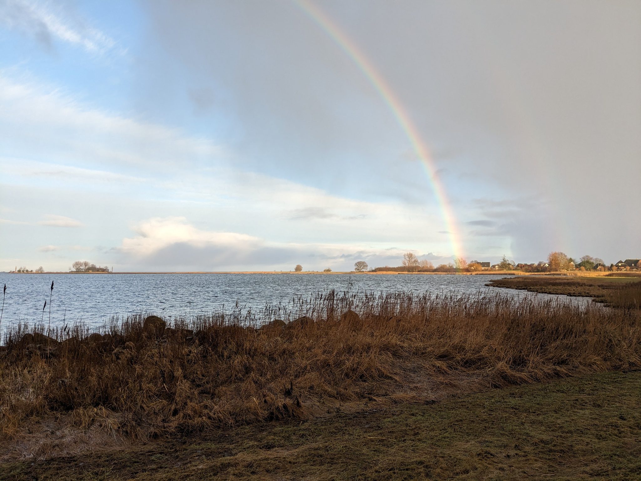 Regenbogen über dem Wittensee im Herbst, Schilf im Vordergrund, bewölkter Himmel