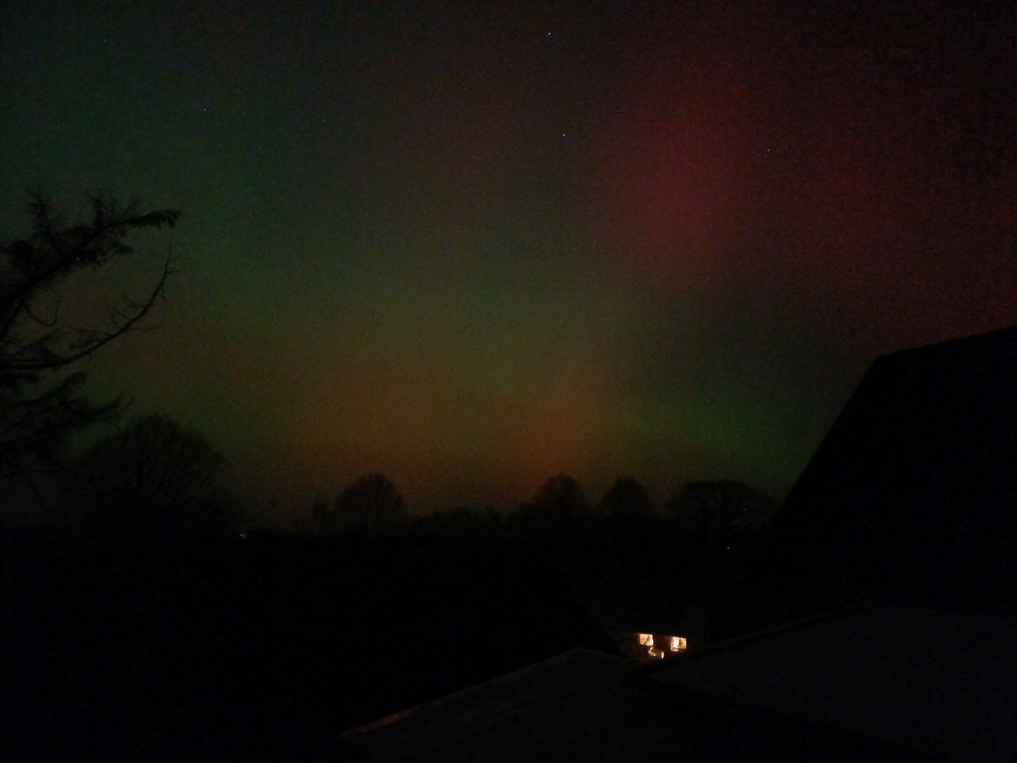 Nordlichter mit grünen und roten Farben über der nächtlichen Silhouette von Bäumen und Hofgebäuden