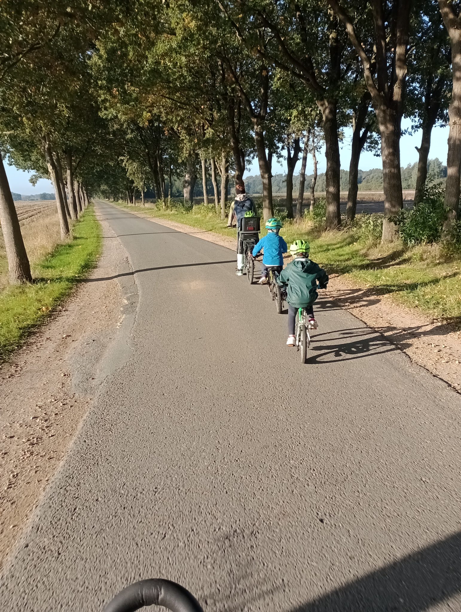Familie mit zwei Kindern fährt Fahrrad auf einer von Bäumen gesäumten Landstraße in Schleswig-Holstein