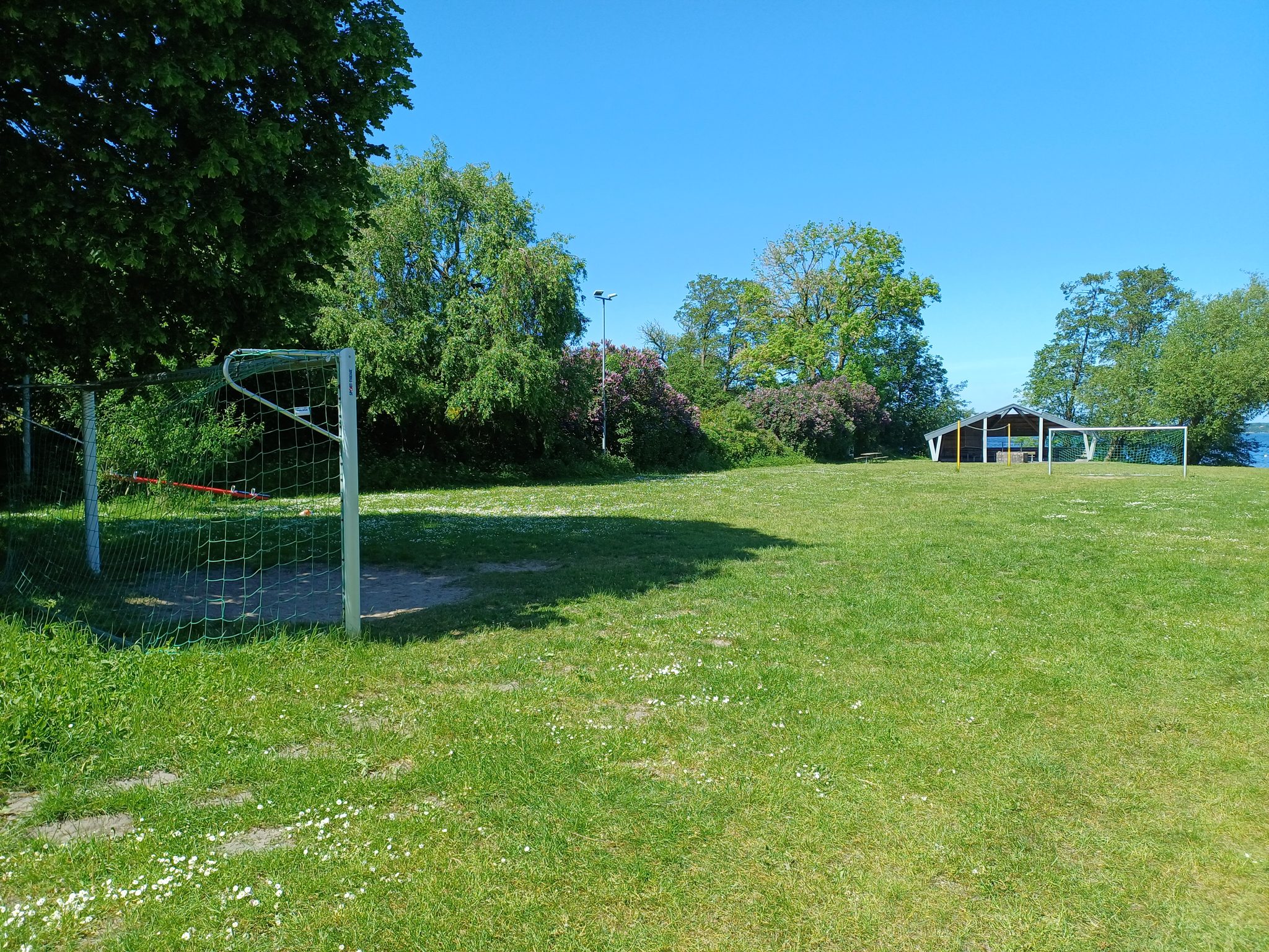 Fußballplatz mit zwei Toren auf der Seewiese, im Hintergrund ein überdachter Pavillon und blühende Büsche