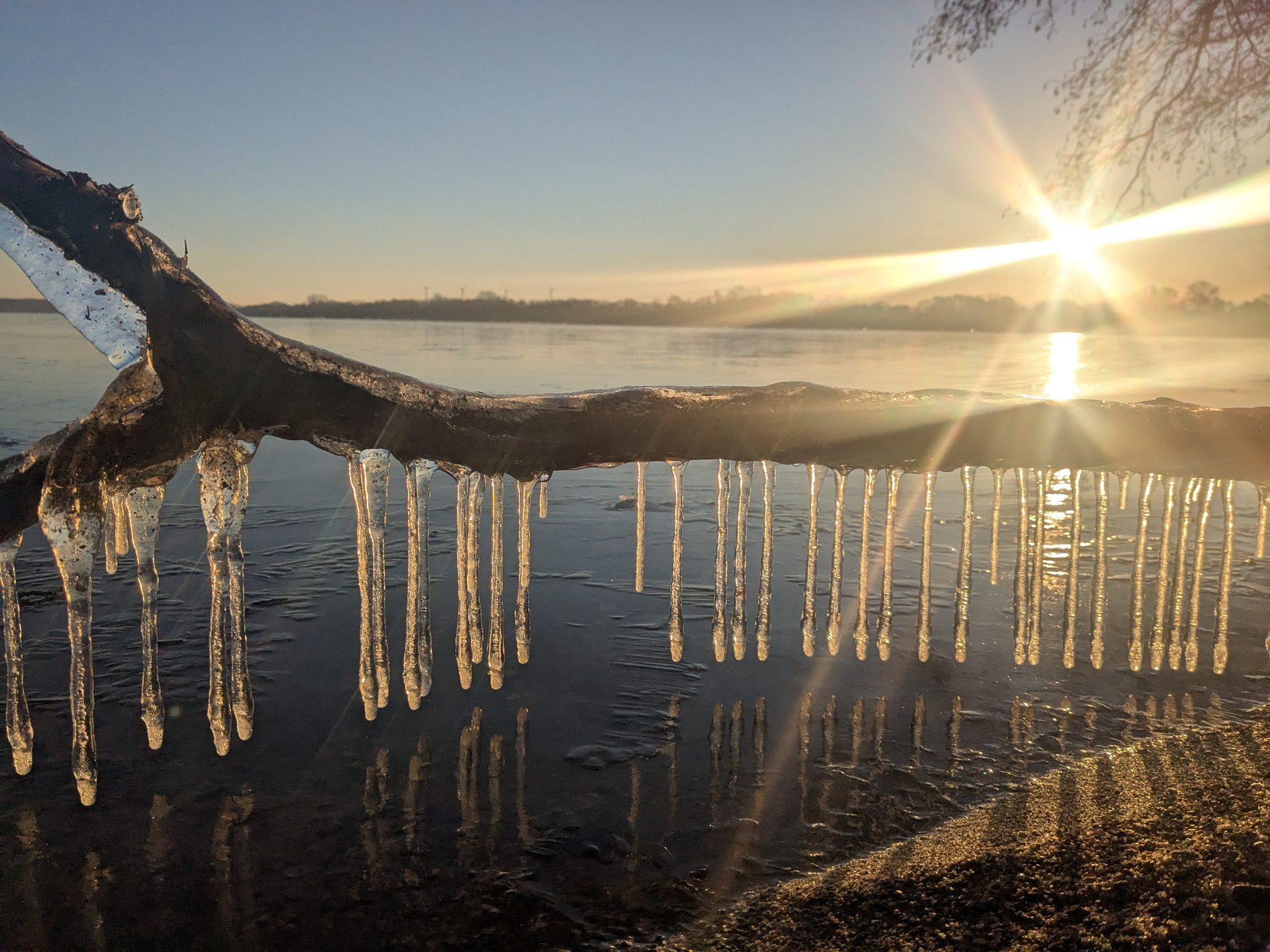 Eiszapfen an einem Ast über dem Wittensee im Gegenlicht der Wintersonne