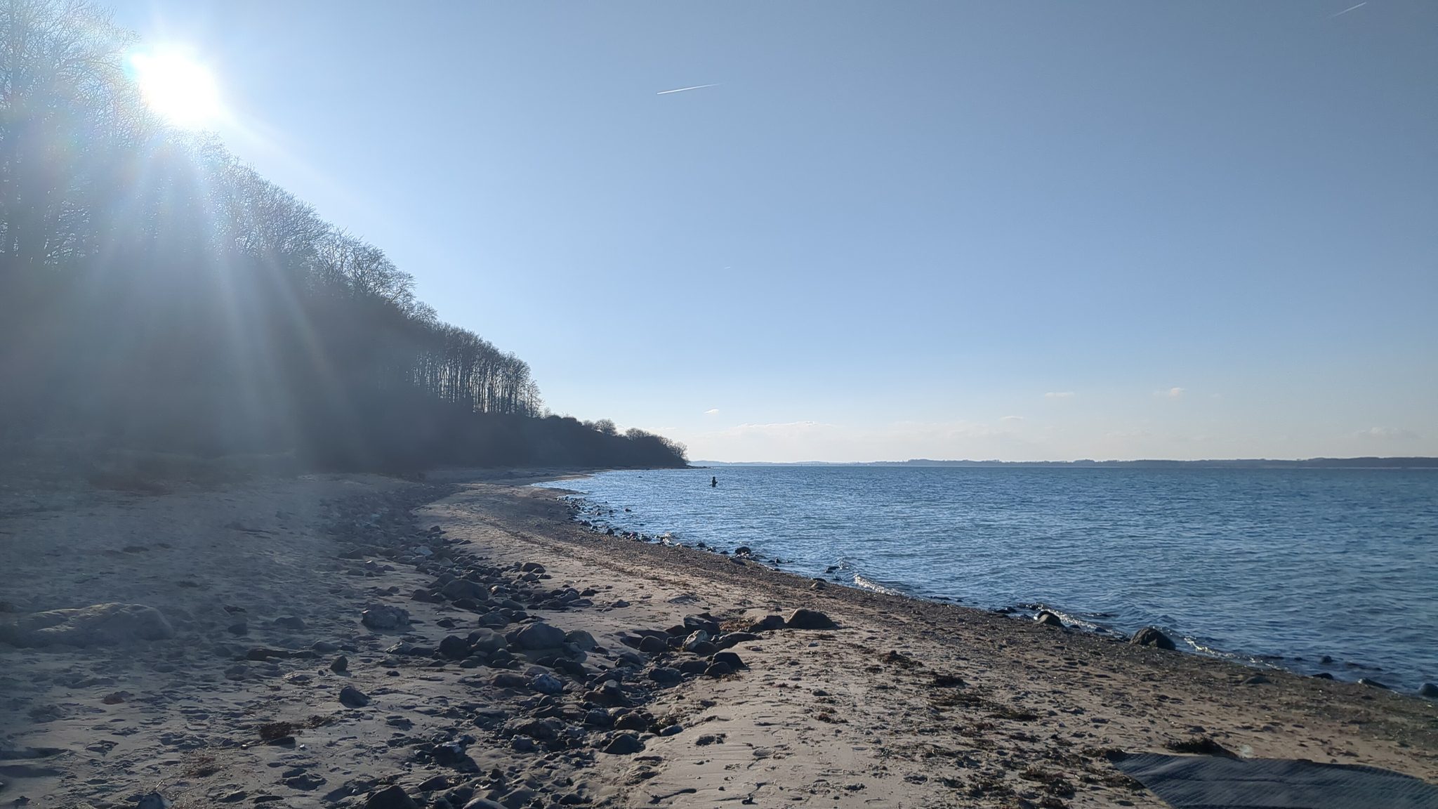 Sandstrand mit Steinen an einer Förde, kahle Bäume im Gegenlicht, blauer Himmel und ruhiges Wasser