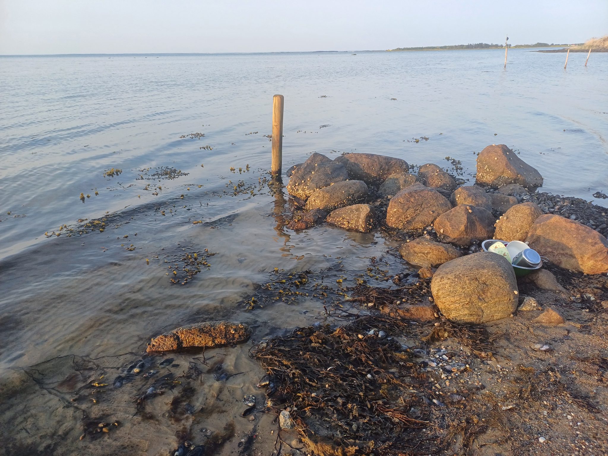 Felsige Küste mit großen Steinen, einem Holzpfahl im Wasser und Algen im flachen Uferbereich, ruhige Ostsee im Hintergrund