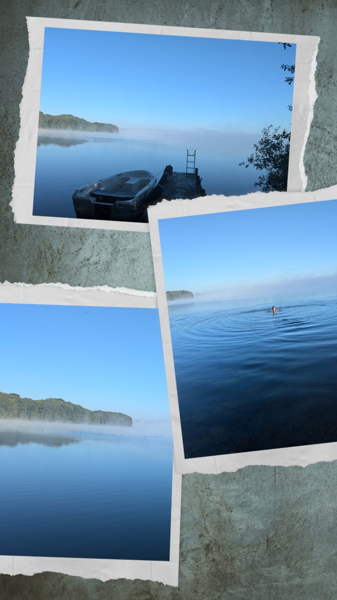 Drei Polaroid-Fotos: Ruderboot am Steg, Morgennebel über dem Wittensee, Person schwimmt im See