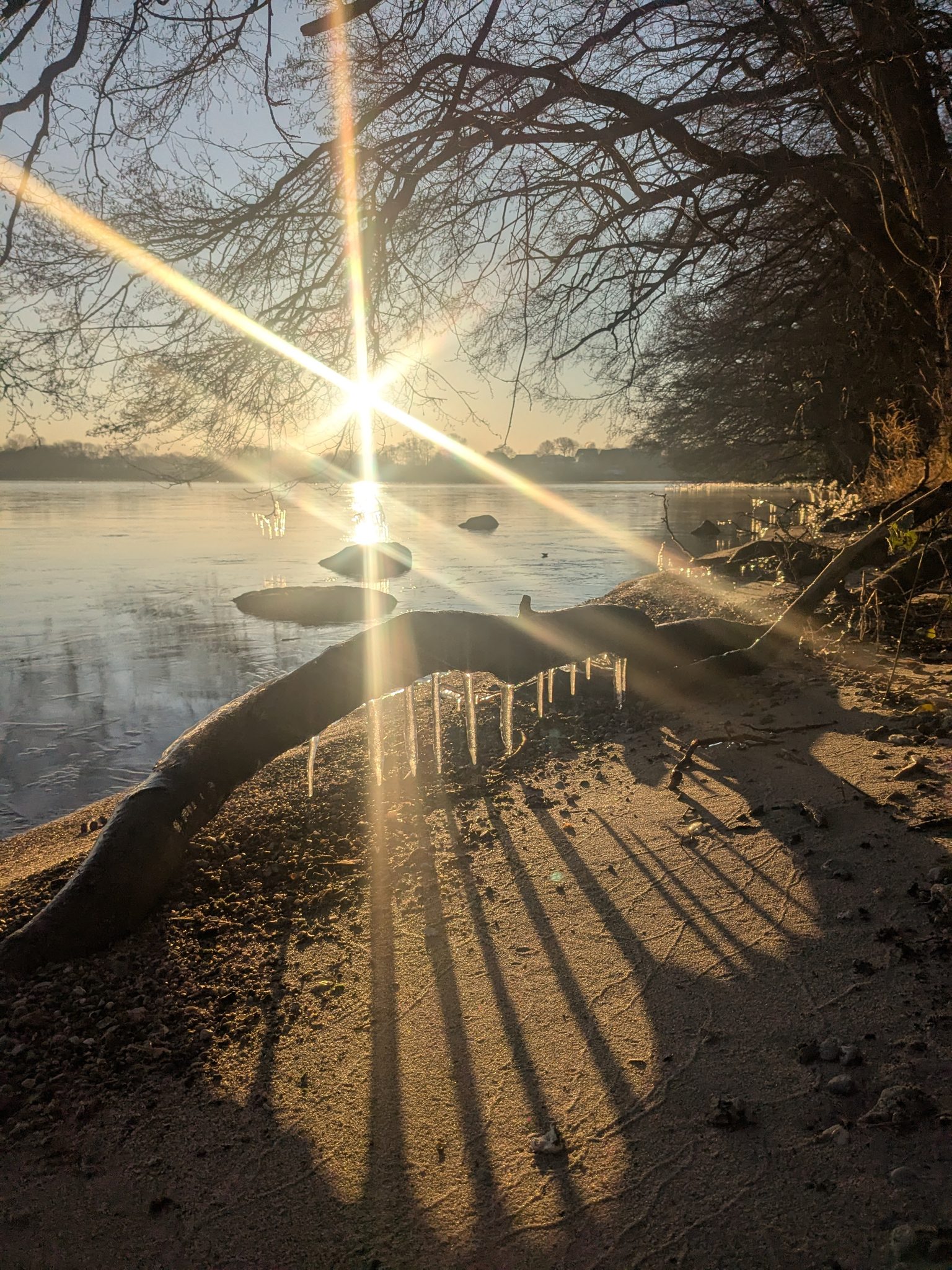 Winterliche Seelandschaft am Wittensee: Sonnenstern über dem Wasser, Eiszapfen an einem Baumstamm, Sandstrand im Gegenlicht