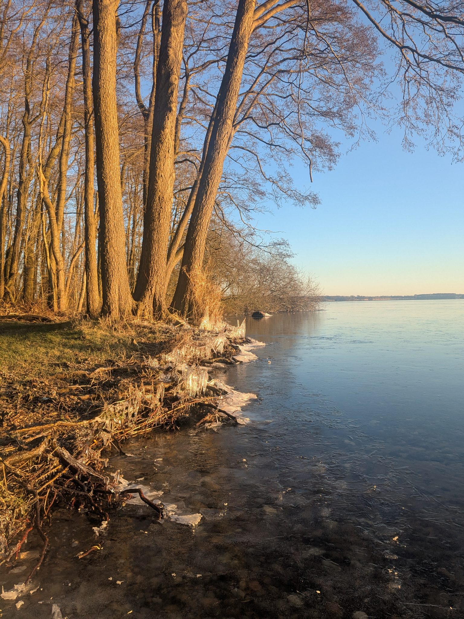 Winterliches Seeufer mit kahlen Laubbäumen, Eisresten am Uferrand und ruhigem Wasser im Abendlicht