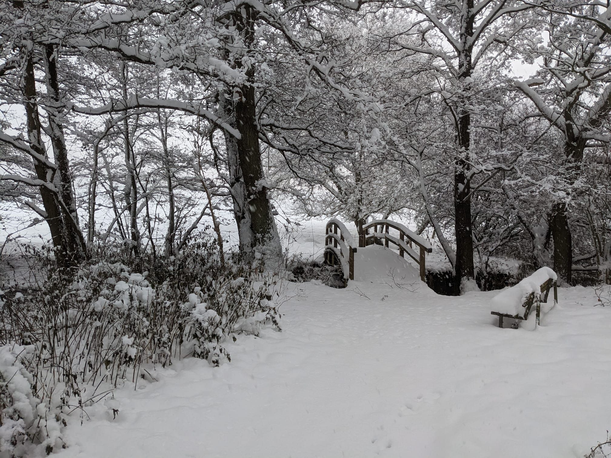 Verschneite Holzbrücke und Bank im winterlichen Garten des Hofs, umgeben von schneebedeckten Bäumen