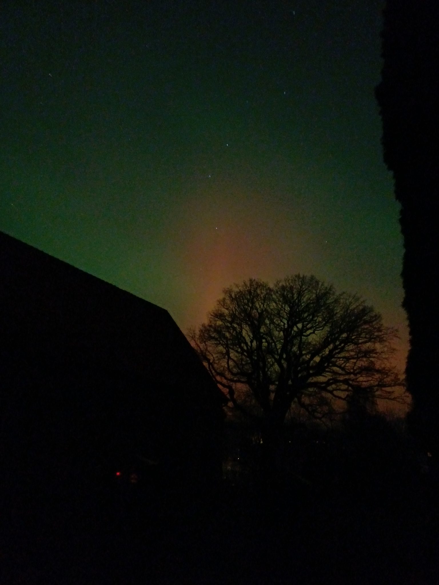 Nordlichter über dem Hof Gayenberg: grün-roter Polarlichtschimmer hinter Baumsilhouette und Scheunendach