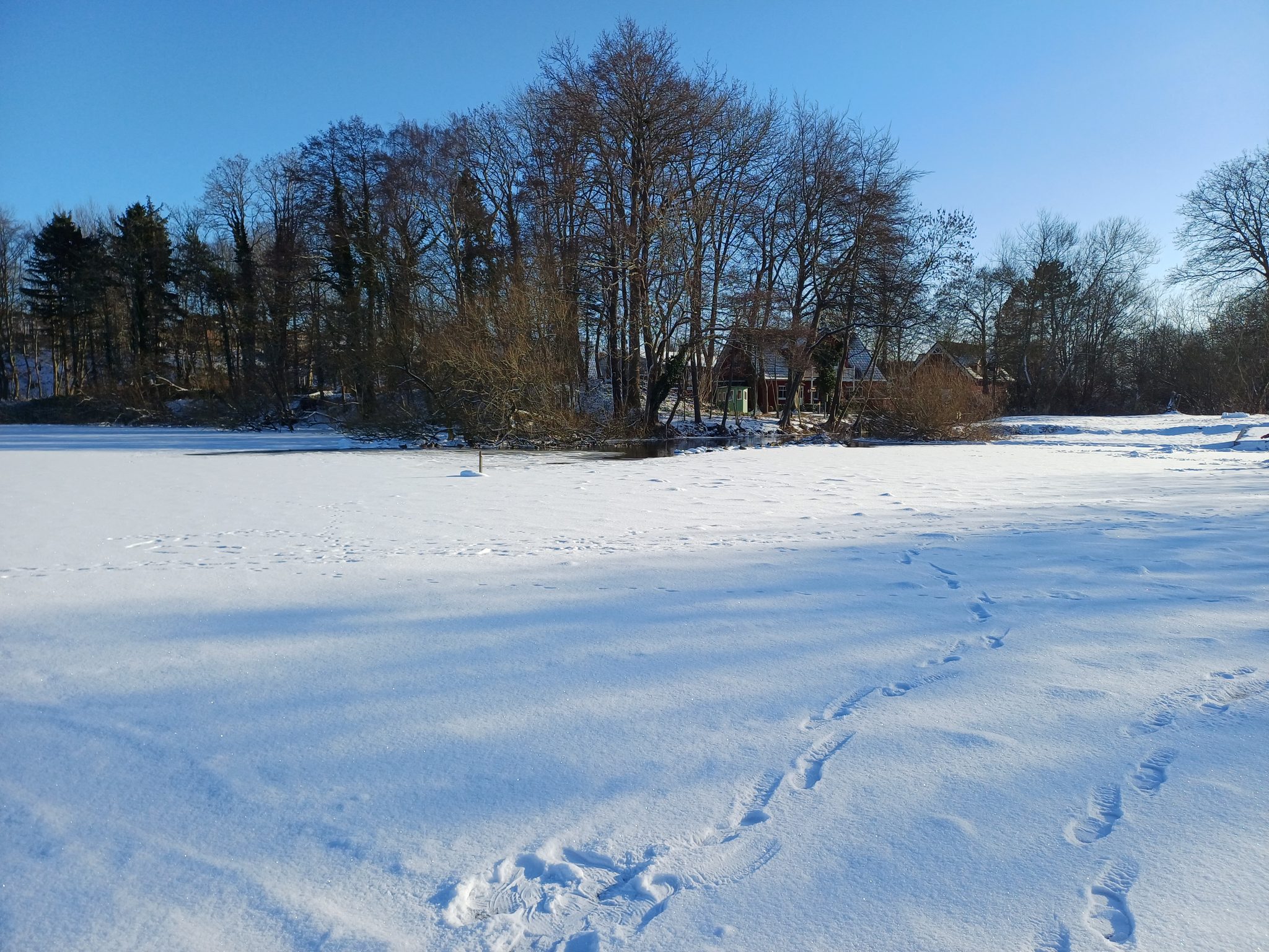 Verschneite Wiese mit Fußspuren im Schnee, kahle Bäume und rotes Gebäude im Hintergrund, blauer Winterhimmel