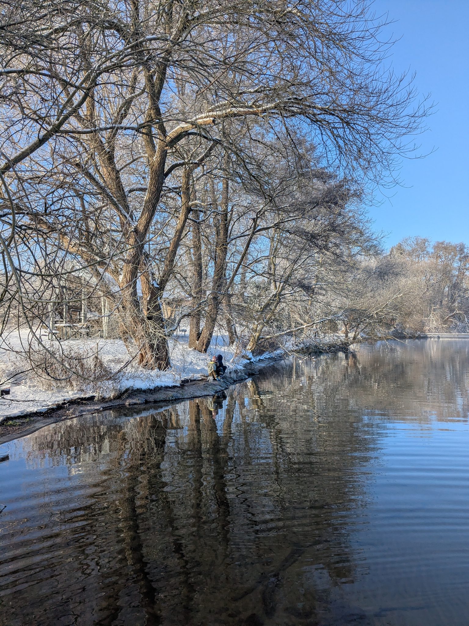 Winterlicher Wittensee mit schneebedecktem Ufer, kahlen Bäumen und ruhiger Wasseroberfläche bei blauem Himmel