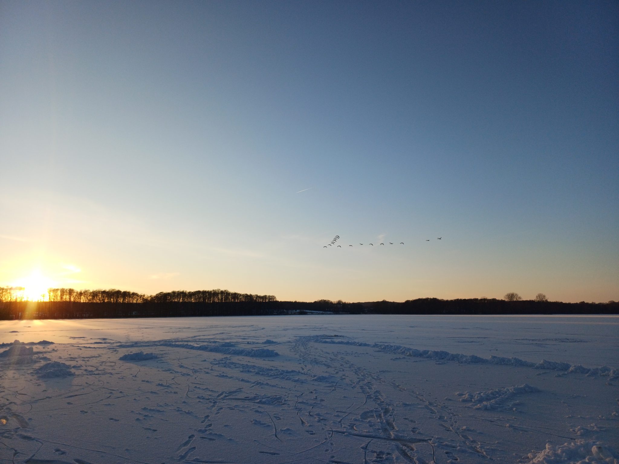 Zugefrorener Wittensee im Winter bei Sonnenuntergang, Vogelschwarm am blauen Himmel, verschneite Eisfläche