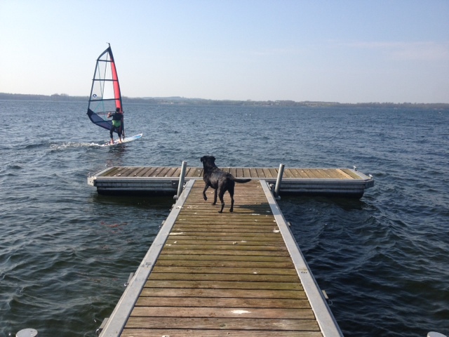 Windsurfen am Wittensee